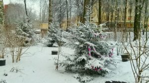 Утро 29 декабря