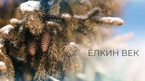 Ёлкин век | Читаем живопись