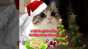 Всех с наступающим новым годом!!!!🎄⛄ "montagem miau christmas version"