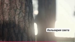 02.10.2027 г.ребе пообещал приход Мессии-сына Давидова.