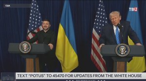 В мире активно обсуждают встречу Трампа с Зеленским и разговор с Путиным