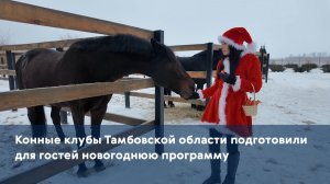 Конные клубы Тамбовской области подготовили для гостей новогоднюю программу