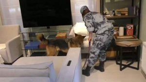 ФСБ показала кадры задержания экс-главы Тамбовской области Егорова