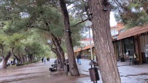 Геленджик 29 декабря 2025 г.mp4