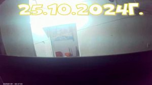 НОВОГОДНЯЯ НОЧЬ