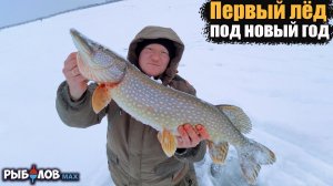 Трофейная рыбалка на жерлицы. Эту безумную борьбу нужно видеть. Первый лед на новый год