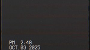 cat litter tray with water and your voice on the way to the airport now so you can see it in horror