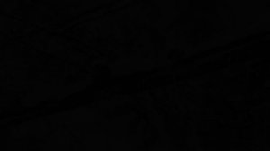 Первый снег