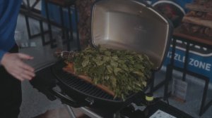 Муксун на кедровой дощечке под березовым веником на электрическом грилe Napoleon TravelQ PRO285EX