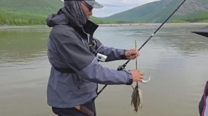 МОЙ ПЕРВЫЙ СПЛАВ ПО РЕКЕ ЮДОМА! ЯКУТИЯ ОГРОМНАЯ