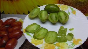 Томатный Гном Дерзкая Мери. №852.  Дегустация сорта 2022 года