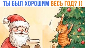 КОТ-ХУЛИГАН ))) Приколы | Мемозг 1702