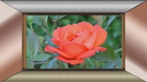 С ДНЁМ РОЖДЕНИЯ ТАТЬЯНА!!!