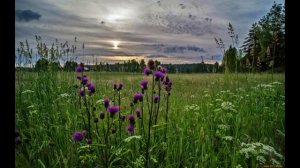 Божественная долька (Suno AI)