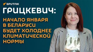 Белгидромет: к новогодней ночи морозы окрепнут, сугробы будут расти