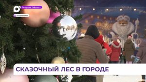 Пространство зимнего чуда с яркими огнями и праздником открылось во Владивостоке