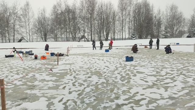 video5372909228648339360 смотреть онлайн