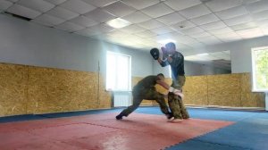 Физкультура