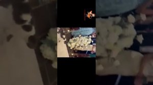 смешные моменты