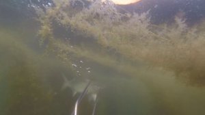 Лобан_04.06.2014