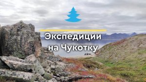 Экспедиции на Чукотку
