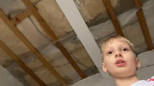 Как оса пробралась к моему питомцу в клетку и обзор на мой дом