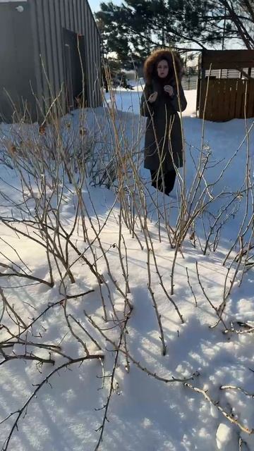 СНЕГ И СМОРОДИНА смотреть онлайн