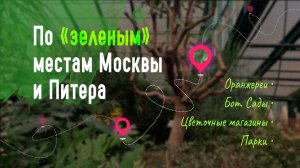 «Зеленые» ОАЗИСЫ Москвы и Питера: прогулки по паркам и оранжереям