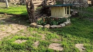 5 апреля 2025 г. Весь день кошу траву.