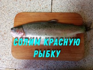 Солим красную рыбку