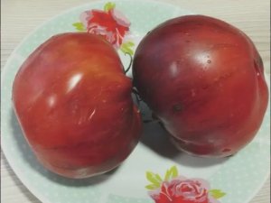 Каталог томатов на 2026 год. Новинки 2025 года. Часть 5.  т. 89229284031