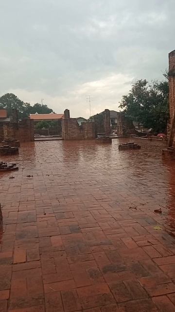 Что растёт из разрушенного храма смотреть онлайн