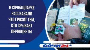 В сочнацпарке рассказали что грозит тем, кто срывает первоцветы