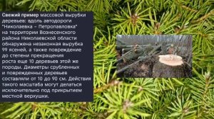 Николаев 30 декабря 2025 года (новости)