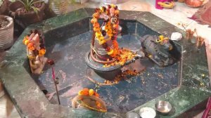 Онлайн Церемония YagyaLive