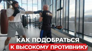 Как справиться с высоким противником