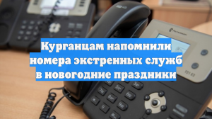 Курганцам напомнили номера экстренных служб в новогодние праздники