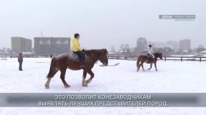 Главные новости Иркутской области, 29 декабря 2025 года