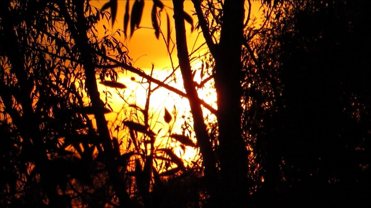 Люблю такие закаты смотреть онлайн