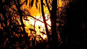 Люблю такие закаты