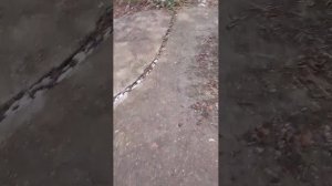 достаем валеру