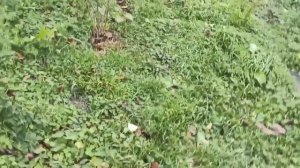 9-11 декабря 2025г.Разобрала ещё одну стенку. Последний урожай в декабре)