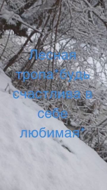 2025-12-29 смотреть онлайн