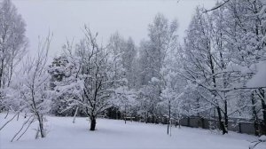 Заболотье стоит