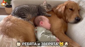 Ребята и зверята от ИИ милое видео для души и радости 👶🏻😺🐶 (17)