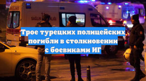 Трое турецких полицейских погибли в столкновении с боевиками ИГ