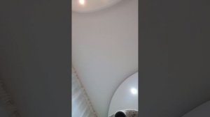 мой день с вами