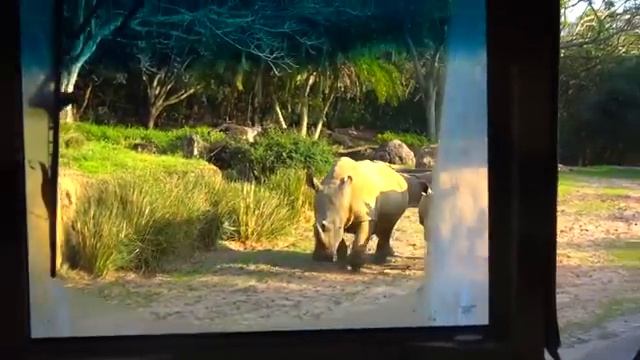 Настя в парке развлечений находит новых друзей [get.gt]