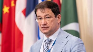 Дмитрий Полянский назначен постпредом РФ при ОБСЕ в Вене