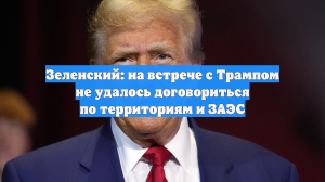 Зеленский: На встрече с Трампом так и не решился спор по территориям и ЗАЭС
